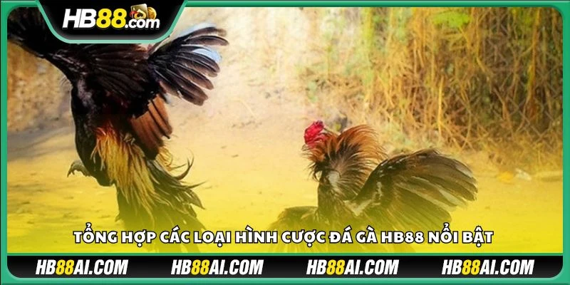 Tổng hợp các loại hình cược đá gà HB88 nổi bật 